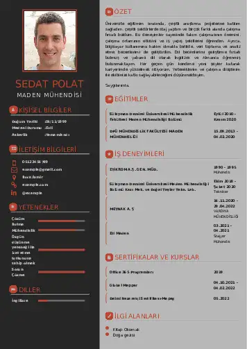Maden Mühendisi Cv Örnekleri cv indir